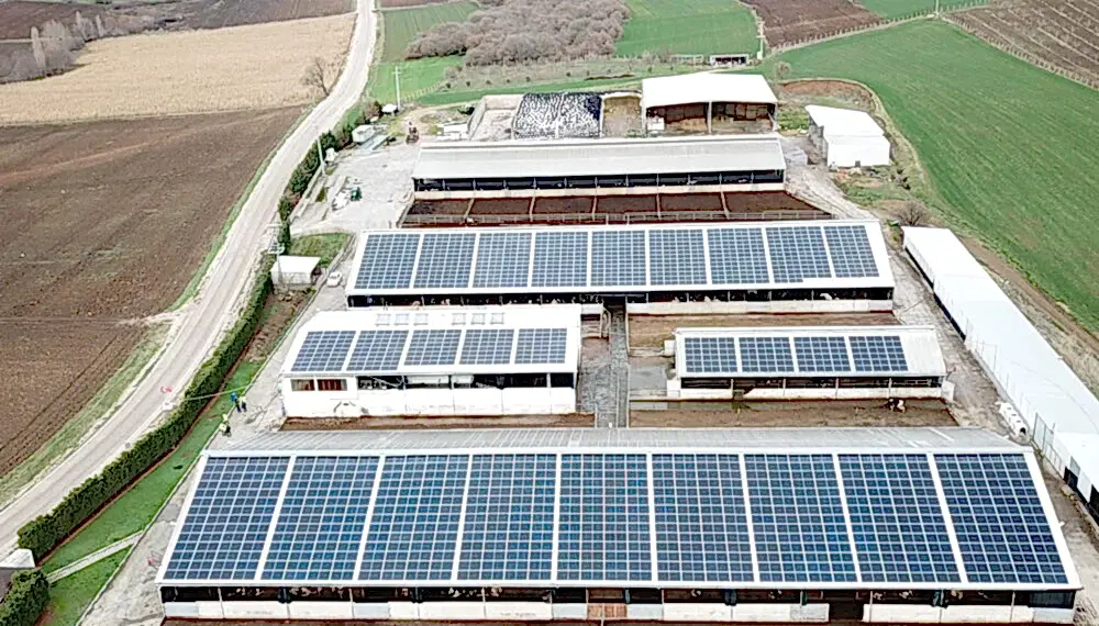 Mesa Süt Bandırma zornelia.info